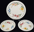 View lot 199 SP PRAIRIE MTN WILDFLOWER PLATES