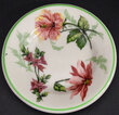 View lot 132 ACL FLORA OF THE SOUTH PAT