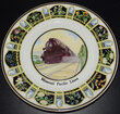 View lot 199 MP STATE FLOWERS SERVICE PLATE