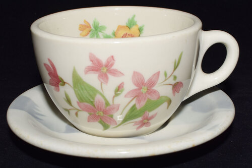 GN MOUNTAINS & FLOWERS CUP & SAUCER