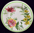 View lot 140 ACL FLORA OF THE SOUTH BUTTER PAT