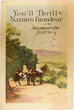 View lot 481 D&RGW/WP/MP BROCHURE