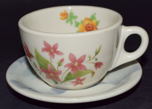 GN MOUNTAINS & FLOWERS CUP & SAUCER