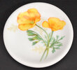 AT&SF CALIFORNIA POPPY PAT