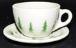 GN GLORY OF THE WEST CUP & SAUCER