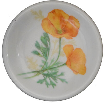 AT&SF CALIFORNIA POPPY BUTTER PAT