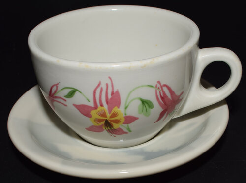 GN MOUNTAINS & FLOWERS CUP & SAUCER