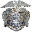 View lot 60 SANTA FE POLICE BADGE