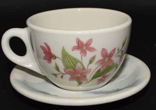 GN MOUNTAINS & FLOWERS CUP & SAUCER