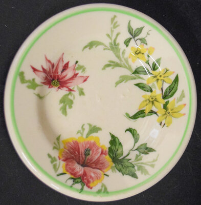 ACL FLORA OF THE SOUTH BUTTER PAT