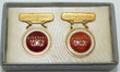 View lot 56 MISSOURI PACIFIC SERVICE PINS
