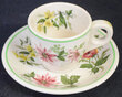 ACL FLORA OF THE SOUTH DEMITASSE SET