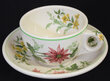 ACL FLORA OF THE SOUTH CUP & SAUCER