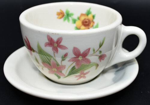 GN MOUNTAINS & FLOWERS CUP & SAUCER  
