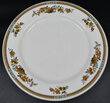 MSTP&SSM LOGAN DINNER PLATE  
