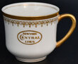 NYC PARK AVENUE DEMI CUP  
