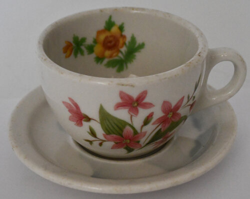 GN MOUNTAINS & FLOWERS CUP & SAUCER