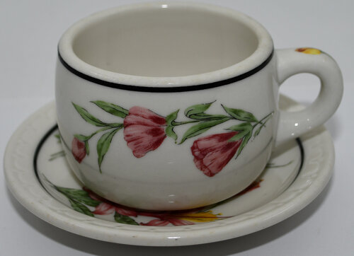 SP PRAIRIE MOUNTAIN WILDFLOWER CUP & SAUCER