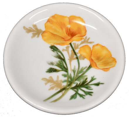 AT&SF CALIFORNIA POPPY BUTTER PAT