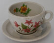 GN MOUNTAINS & FLOWERS CUP & SAUCER