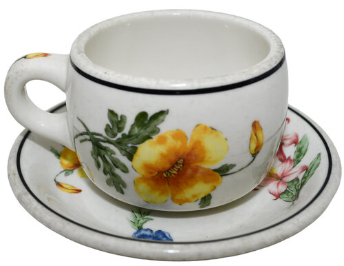 SP PRAIRIE MOUNTAIN WILDFLOWER CUP & SAUCER
