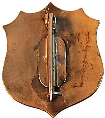 CPR 411 POLICE BADGE