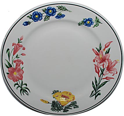 SP PMWF DINNER PLATE